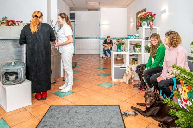Tierarzt Nidderau, Tierarztpraxis an den Nidderwiesen 1 tierarzt nidderau tierarztpraxis an den nidderwiesen