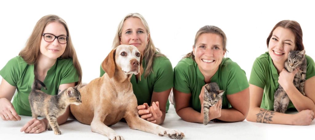 Tierarzt Praxis in Erfurt – Professionelle Tierärztliche Betreuung 1 tierarzt praxis in erfurt professionelle tierarztliche betreuung