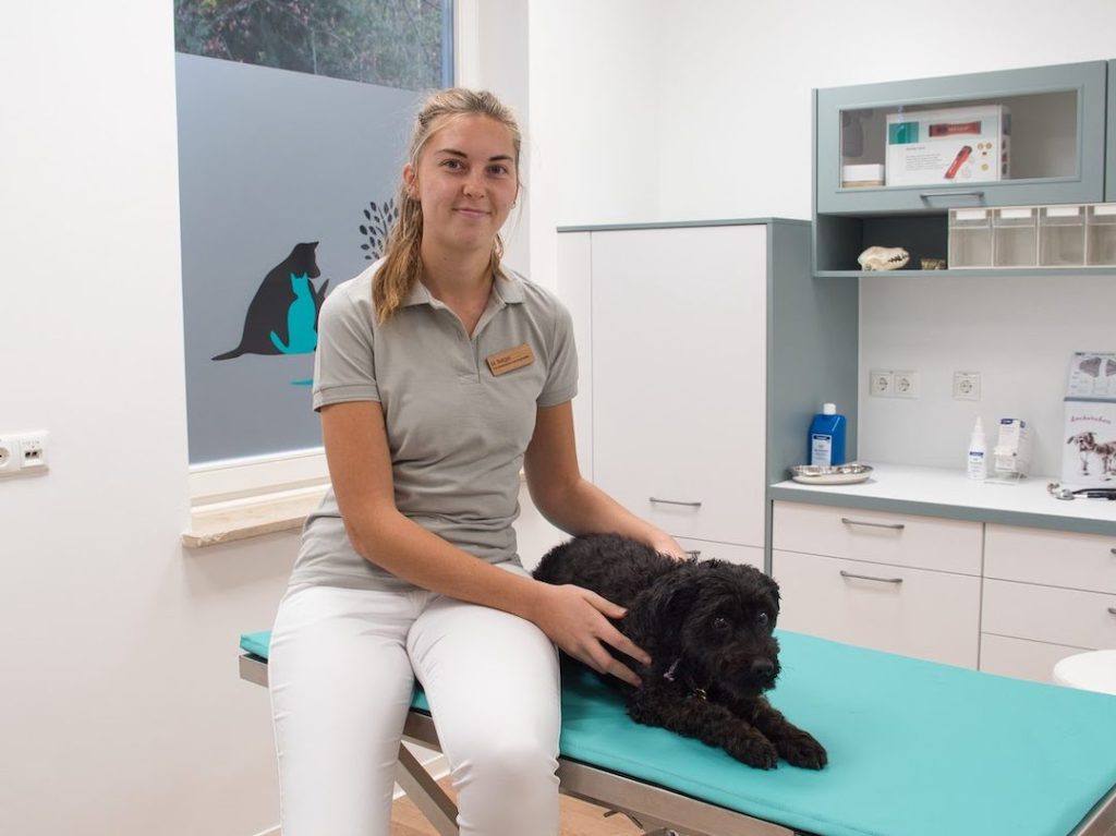 Tierarzt Praxis in Erlangen – Professionelle Tiergesundheit 1 tierarzt praxis in erlangen professionelle tiergesundheit