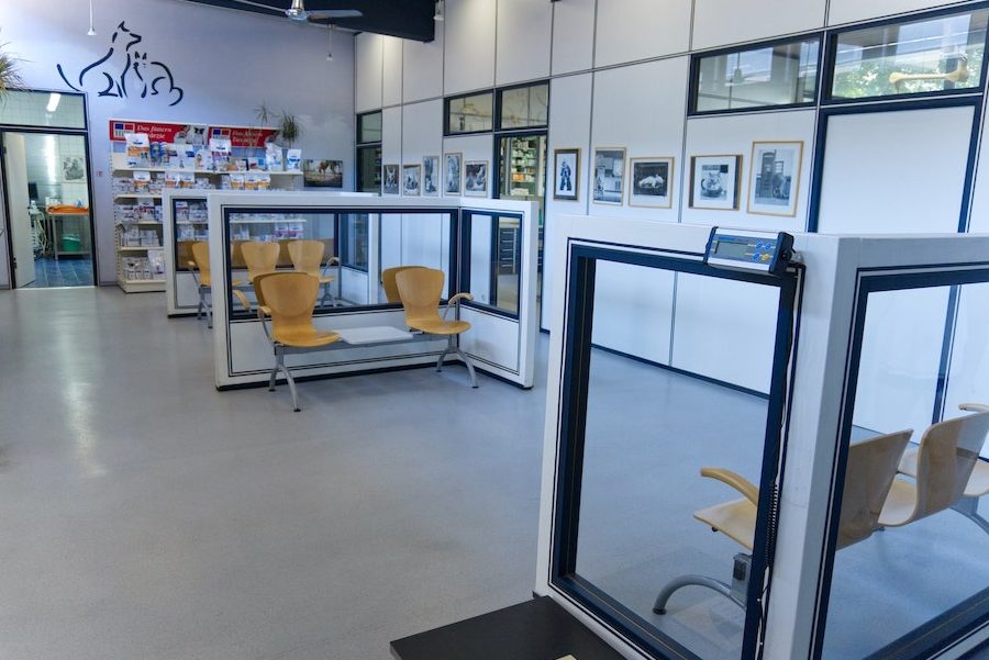 Tierarzt Praxis Ingolstadt – Professionelle Tierärztliche Betreuung 1 tierarzt praxis ingolstadt professionelle tierarztliche betreuung