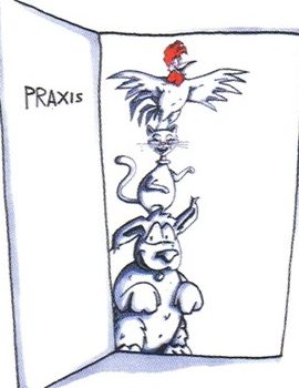 Tierarztpraxis Heike Möllmann 1 tierarztpraxis heike mollmann