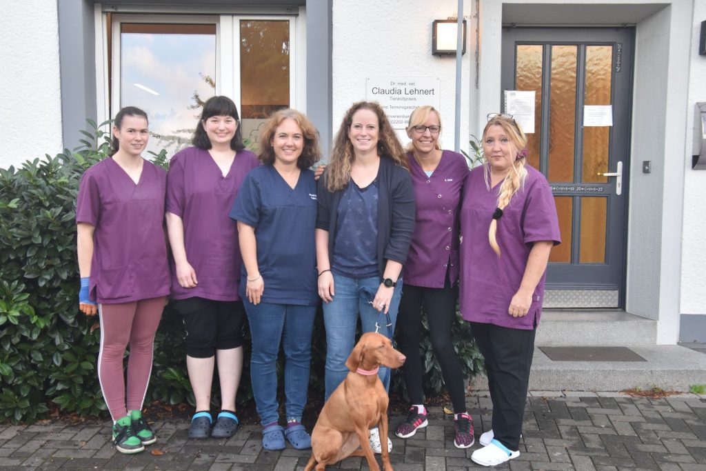 Tierarztpraxis in Bergisch Gladbach – Professionelle Tiergesundheit 1 tierarztpraxis in bergisch gladbach professionelle tiergesundheit