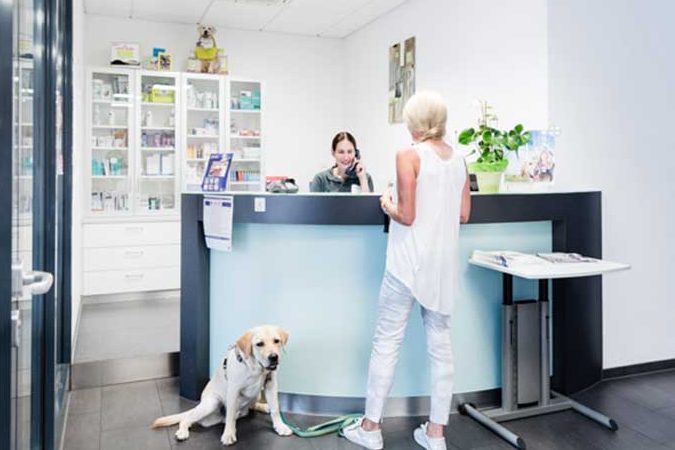 Tierarztpraxis in Heilbronn – Kompetente Tierärztliche Betreuung 1 tierarztpraxis in heilbronn kompetente tierarztliche betreuung