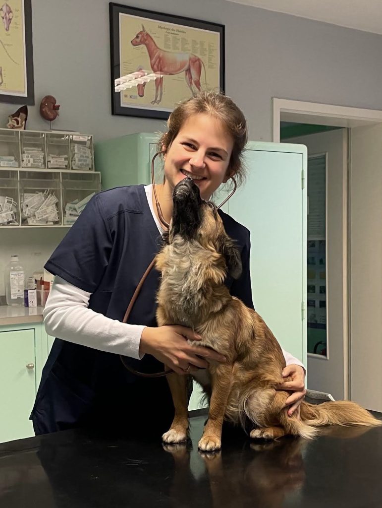 Tierarztpraxis in Hildesheim – Professionelle Tierbehandlung & Betreuung 1 tierarztpraxis in hildesheim professionelle tierbehandlung betreuung