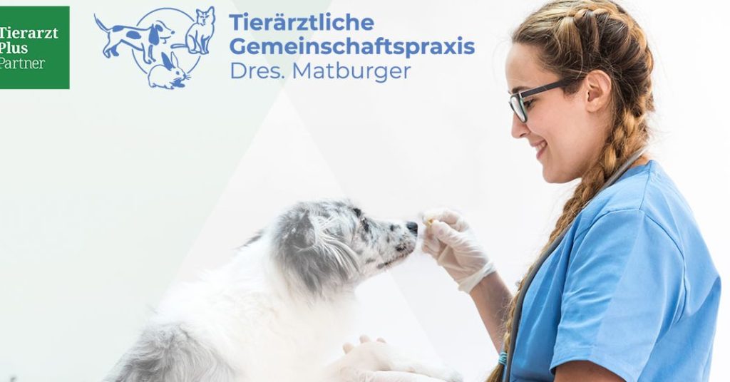 Tierarztpraxis in Moers – Professionelle Tiergesundheit vor Ort 1 tierarztpraxis in moers professionelle tiergesundheit vor ort