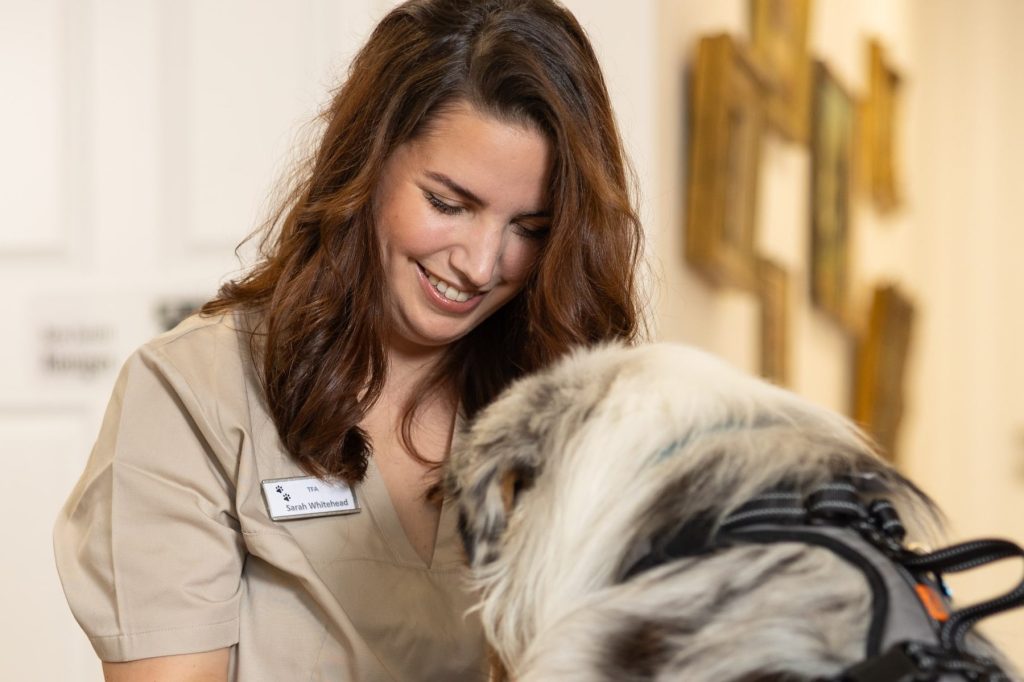 Tierarztpraxis in Trier – Professionelle Tierärztliche Betreuung 1 tierarztpraxis in trier professionelle tierarztliche betreuung